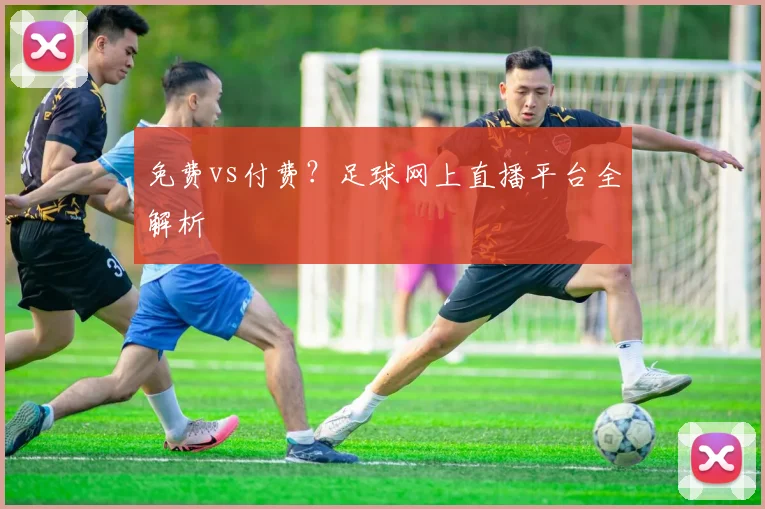 免费vs付费？足球网上直播平台全解析