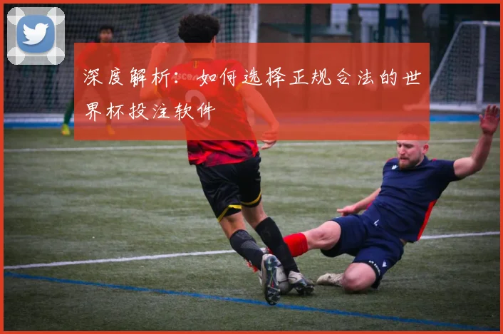 深度解析:如何选择正规合法的世界杯投注软件