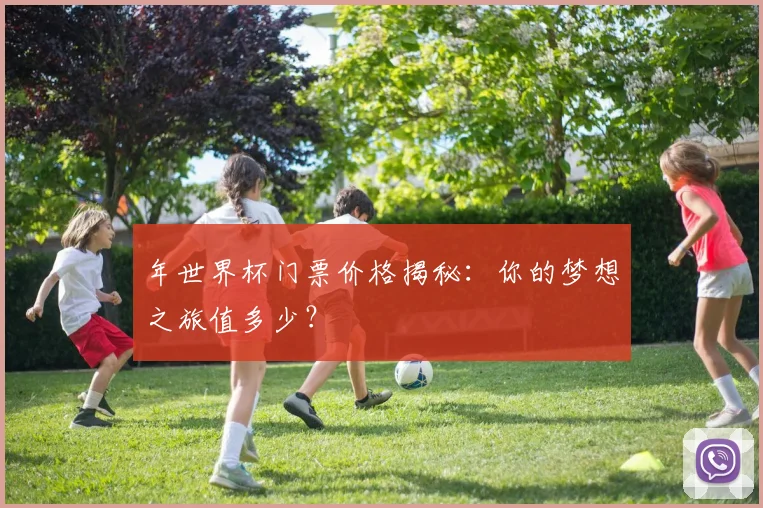 年世界杯门票价格揭秘：你的梦想之旅值多少？