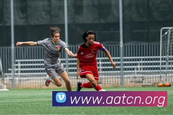 App Interface Preview